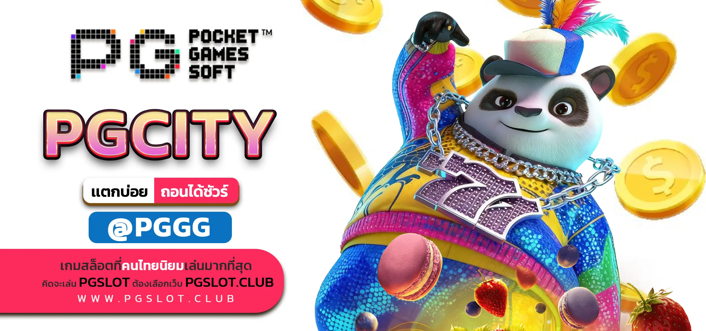 PGCITY